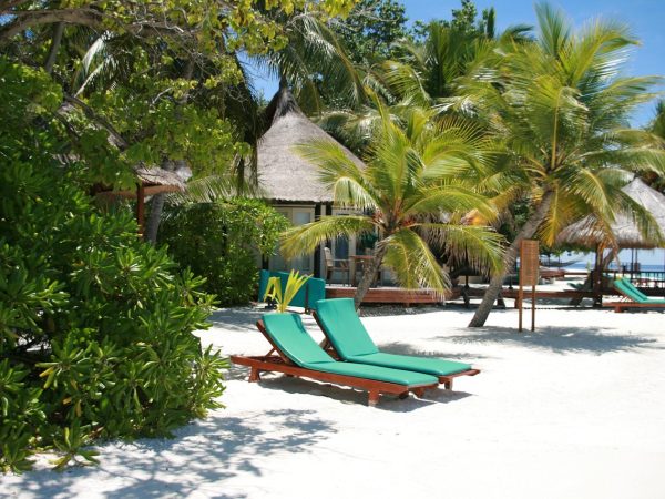 maldive islands, nature, sunbed, vacation, summer, beach